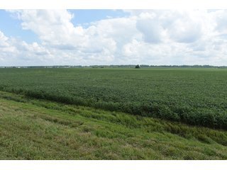 Property photo 69 - LAND AUCTION - 638+/- ACRES - OFFERED IN 15 TRACTS - MADISON COUNTY, IL