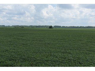 Property photo 70 - LAND AUCTION - 638+/- ACRES - OFFERED IN 15 TRACTS - MADISON COUNTY, IL