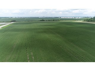 Property photo 39 - LAND AUCTION - 638+/- ACRES - OFFERED IN 15 TRACTS - MADISON COUNTY, IL