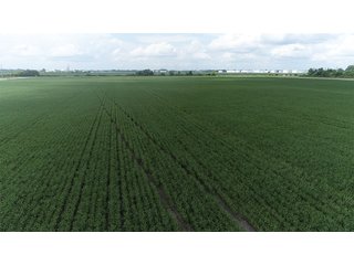 Property photo 38 - LAND AUCTION - 638+/- ACRES - OFFERED IN 15 TRACTS - MADISON COUNTY, IL