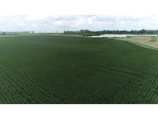 Property photo 37 - LAND AUCTION - 638+/- ACRES - OFFERED IN 15 TRACTS - MADISON COUNTY, IL