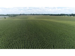 Property photo 35 - LAND AUCTION - 638+/- ACRES - OFFERED IN 15 TRACTS - MADISON COUNTY, IL