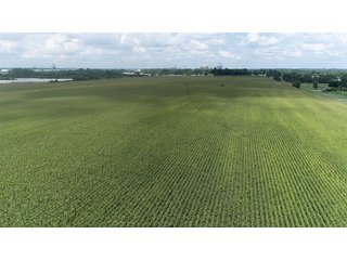 Property photo 33 - LAND AUCTION - 638+/- ACRES - OFFERED IN 15 TRACTS - MADISON COUNTY, IL