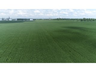 Property photo 16 - LAND AUCTION - 638+/- ACRES - OFFERED IN 15 TRACTS - MADISON COUNTY, IL