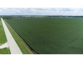 Property photo 14 - LAND AUCTION - 638+/- ACRES - OFFERED IN 15 TRACTS - MADISON COUNTY, IL