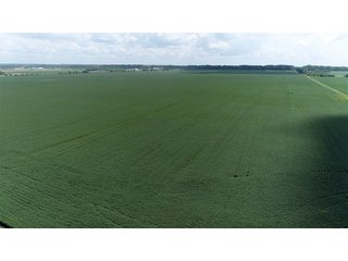 Property photo 13 - LAND AUCTION - 638+/- ACRES - OFFERED IN 15 TRACTS - MADISON COUNTY, IL