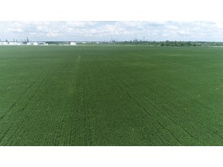 Property photo 9 - LAND AUCTION - 638+/- ACRES - OFFERED IN 15 TRACTS - MADISON COUNTY, IL