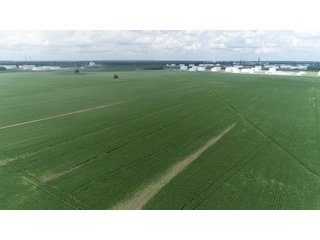 Property photo 8 - LAND AUCTION - 638+/- ACRES - OFFERED IN 15 TRACTS - MADISON COUNTY, IL