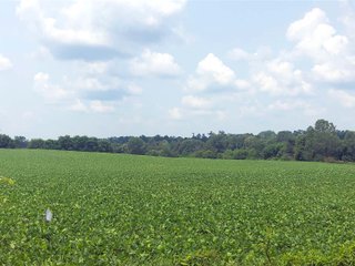 Property photo 15 - LAND AUCTION - 78+/- ACRES OFFERED IN 4 TRACTS - FAYETTE COUNTY, INDIANA