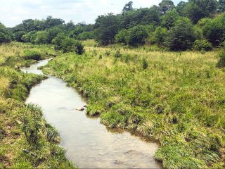 Property photo 17 - LAND AUCTION - 78+/- ACRES OFFERED IN 4 TRACTS - FAYETTE COUNTY, INDIANA