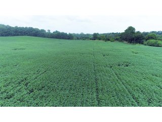Property photo 6 - LAND AUCTION - 78+/- ACRES OFFERED IN 4 TRACTS - FAYETTE COUNTY, INDIANA
