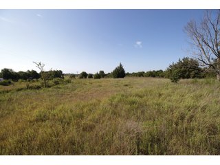 Property photo 12 - LAND AUCTION - 308+/- ACRES OFFERED IN 10 TRACTS IN MCCLAIN AND GARVIN COUNTY, OKLAHOMA