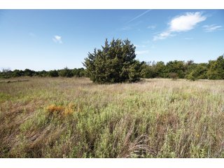 Property photo 13 - LAND AUCTION - 308+/- ACRES OFFERED IN 10 TRACTS IN MCCLAIN AND GARVIN COUNTY, OKLAHOMA