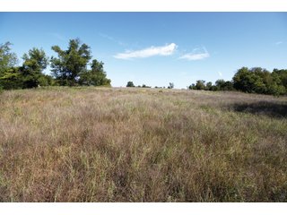Property photo 16 - LAND AUCTION - 308+/- ACRES OFFERED IN 10 TRACTS IN MCCLAIN AND GARVIN COUNTY, OKLAHOMA