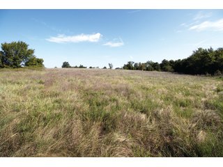 Property photo 17 - LAND AUCTION - 308+/- ACRES OFFERED IN 10 TRACTS IN MCCLAIN AND GARVIN COUNTY, OKLAHOMA