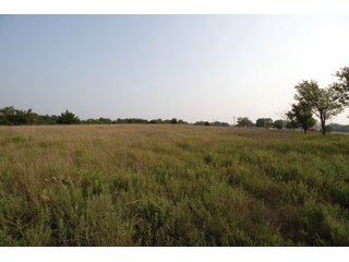 Property photo 22 - LAND AUCTION - 308+/- ACRES OFFERED IN 10 TRACTS IN MCCLAIN AND GARVIN COUNTY, OKLAHOMA