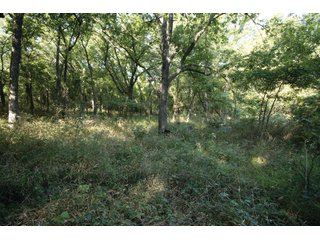 Property photo 23 - LAND AUCTION - 308+/- ACRES OFFERED IN 10 TRACTS IN MCCLAIN AND GARVIN COUNTY, OKLAHOMA
