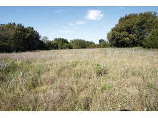 Property photo 26 - LAND AUCTION - 308+/- ACRES OFFERED IN 10 TRACTS IN MCCLAIN AND GARVIN COUNTY, OKLAHOMA