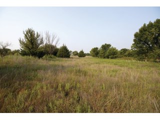 Property photo 28 - LAND AUCTION - 308+/- ACRES OFFERED IN 10 TRACTS IN MCCLAIN AND GARVIN COUNTY, OKLAHOMA