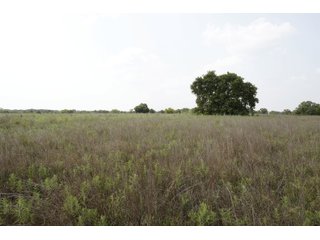 Property photo 33 - LAND AUCTION - 308+/- ACRES OFFERED IN 10 TRACTS IN MCCLAIN AND GARVIN COUNTY, OKLAHOMA
