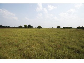 Property photo 34 - LAND AUCTION - 308+/- ACRES OFFERED IN 10 TRACTS IN MCCLAIN AND GARVIN COUNTY, OKLAHOMA