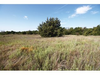 Property photo 36 - LAND AUCTION - 308+/- ACRES OFFERED IN 10 TRACTS IN MCCLAIN AND GARVIN COUNTY, OKLAHOMA