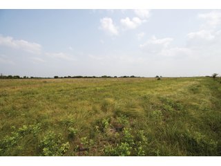 Property photo 41 - LAND AUCTION - 308+/- ACRES OFFERED IN 10 TRACTS IN MCCLAIN AND GARVIN COUNTY, OKLAHOMA