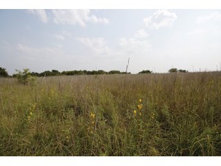 Property photo 42 - LAND AUCTION - 308+/- ACRES OFFERED IN 10 TRACTS IN MCCLAIN AND GARVIN COUNTY, OKLAHOMA
