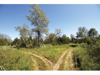Property photo 48 - LAND AUCTION - 308+/- ACRES OFFERED IN 10 TRACTS IN MCCLAIN AND GARVIN COUNTY, OKLAHOMA