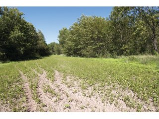 Property photo 49 - LAND AUCTION - 308+/- ACRES OFFERED IN 10 TRACTS IN MCCLAIN AND GARVIN COUNTY, OKLAHOMA