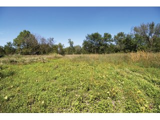 Property photo 52 - LAND AUCTION - 308+/- ACRES OFFERED IN 10 TRACTS IN MCCLAIN AND GARVIN COUNTY, OKLAHOMA