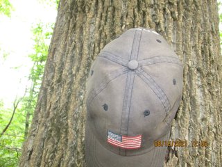 Property photo 36 - LAND AUCTION - 141+/- ACRES OFFERED IN 5 TRACTS IN UNION COUNTY, INDIANA