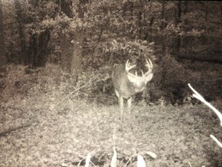 Property photo 35 - LAND AUCTION - 141+/- ACRES OFFERED IN 5 TRACTS IN UNION COUNTY, INDIANA