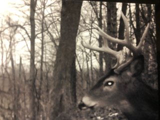 Property photo 33 - LAND AUCTION - 141+/- ACRES OFFERED IN 5 TRACTS IN UNION COUNTY, INDIANA