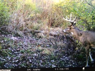 Property photo 32 - LAND AUCTION - 141+/- ACRES OFFERED IN 5 TRACTS IN UNION COUNTY, INDIANA