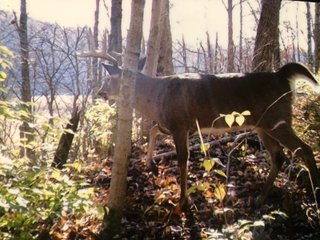 Property photo 30 - LAND AUCTION - 141+/- ACRES OFFERED IN 5 TRACTS IN UNION COUNTY, INDIANA