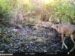 Property photo 22 - LAND AUCTION - 141+/- ACRES OFFERED IN 5 TRACTS IN UNION COUNTY, INDIANA