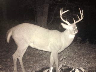 Property photo 24 - LAND AUCTION - 141+/- ACRES OFFERED IN 5 TRACTS IN UNION COUNTY, INDIANA
