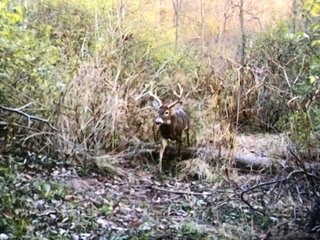 Property photo 23 - LAND AUCTION - 141+/- ACRES OFFERED IN 5 TRACTS IN UNION COUNTY, INDIANA