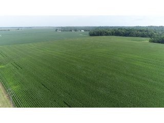 Property photo 11 - LAND AUCTION - 141+/- ACRES OFFERED IN 5 TRACTS IN UNION COUNTY, INDIANA