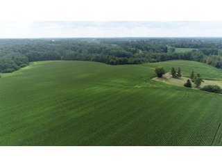 Property photo 13 - LAND AUCTION - 141+/- ACRES OFFERED IN 5 TRACTS IN UNION COUNTY, INDIANA