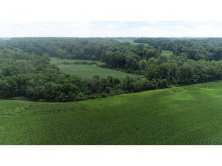 Property photo 14 - LAND AUCTION - 141+/- ACRES OFFERED IN 5 TRACTS IN UNION COUNTY, INDIANA