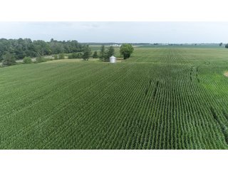 Property photo 15 - LAND AUCTION - 141+/- ACRES OFFERED IN 5 TRACTS IN UNION COUNTY, INDIANA