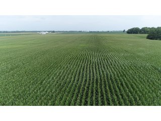 Property photo 16 - LAND AUCTION - 141+/- ACRES OFFERED IN 5 TRACTS IN UNION COUNTY, INDIANA