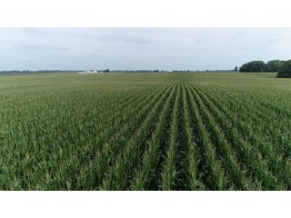 Property photo 17 - LAND AUCTION - 141+/- ACRES OFFERED IN 5 TRACTS IN UNION COUNTY, INDIANA