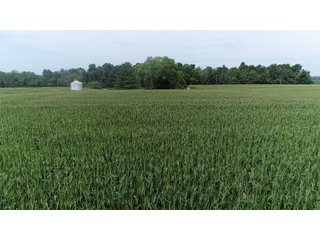 Property photo 18 - LAND AUCTION - 141+/- ACRES OFFERED IN 5 TRACTS IN UNION COUNTY, INDIANA