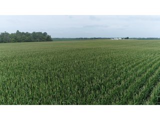 Property photo 19 - LAND AUCTION - 141+/- ACRES OFFERED IN 5 TRACTS IN UNION COUNTY, INDIANA