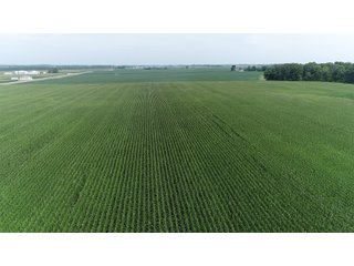 Property photo 20 - LAND AUCTION - 141+/- ACRES OFFERED IN 5 TRACTS IN UNION COUNTY, INDIANA