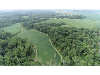 Property photo 4 - LAND AUCTION - 141+/- ACRES OFFERED IN 5 TRACTS IN UNION COUNTY, INDIANA