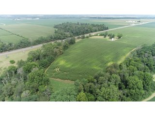 Property photo 7 - LAND AUCTION - 141+/- ACRES OFFERED IN 5 TRACTS IN UNION COUNTY, INDIANA